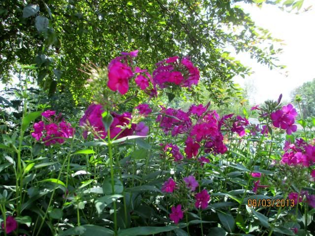  photo IMG_0025_zps03d2a3c2.jpg