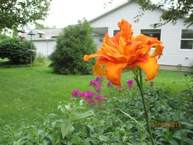  photo IMG_0066_zps5dadc2ef.jpg