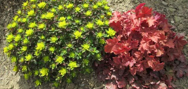  photo IMG_0279_zpse20cb474.jpg