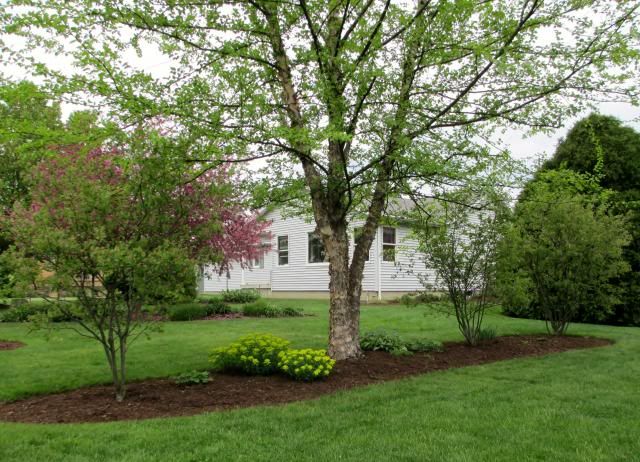  photo IMG_0357_zps8ee1907b.jpg