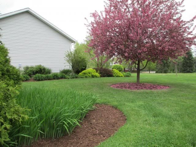  photo IMG_0371_zpse95c9017.jpg