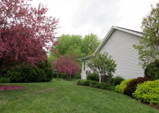  photo IMG_0374_zpsd4a39f5b.jpg