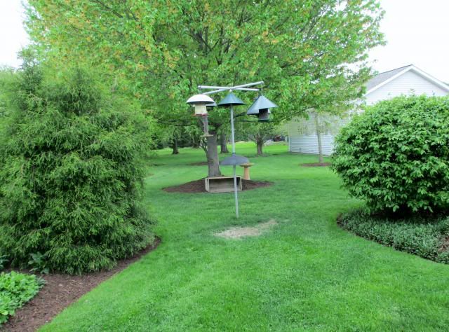  photo IMG_0379_zps47904804.jpg