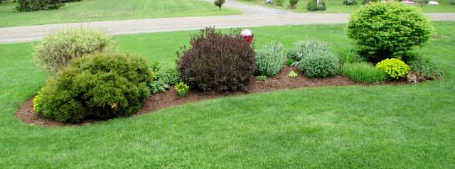  photo IMG_0383_zpsec0e7882.jpg