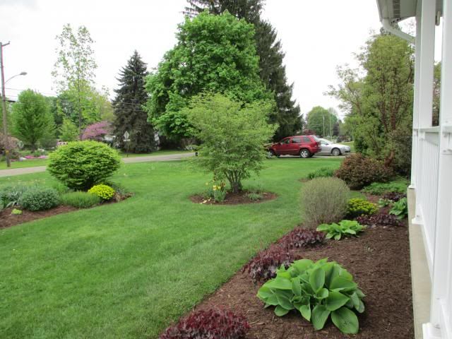  photo IMG_0388_zps24b49b0b.jpg