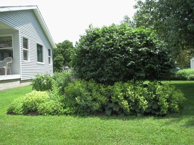  photo IMG_0561_zpsfe7712da.jpg