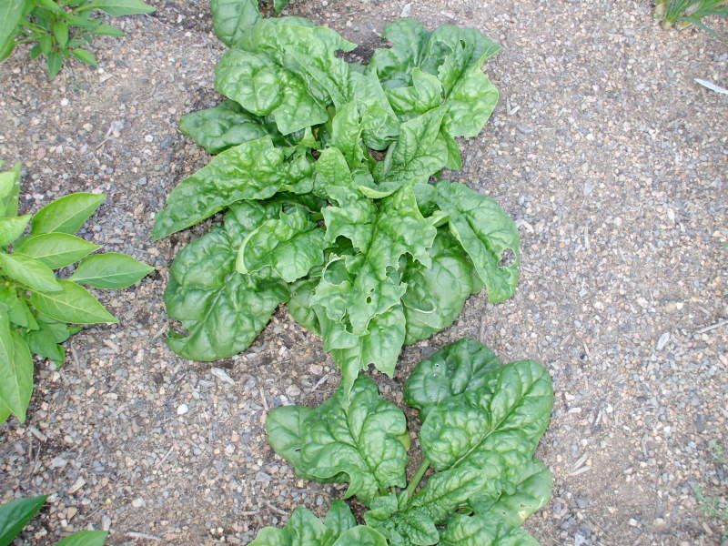 DSCF1073.jpg