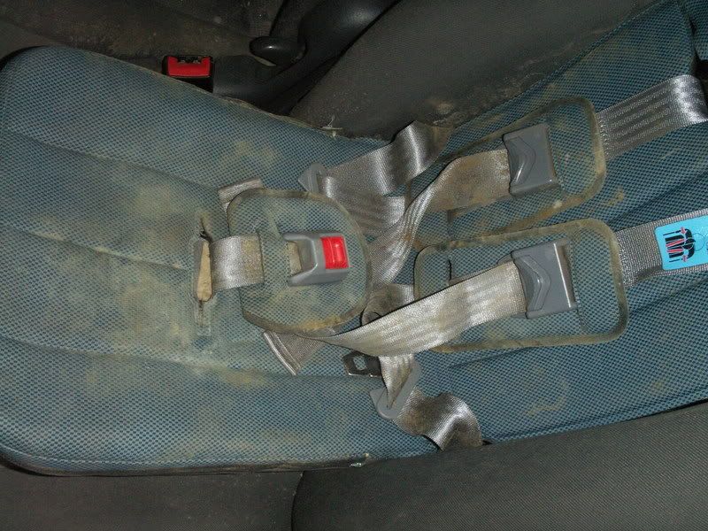 Mouldy car interior Detailing World Forum