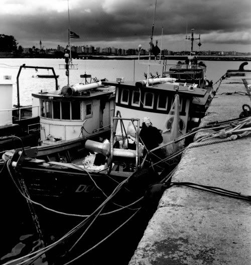 Small fishing vessels moored in a stormy day