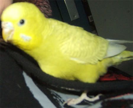 blurrynewty.jpg