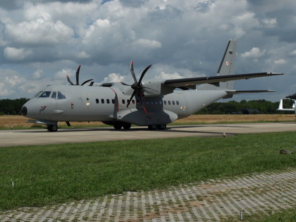 C295PL.jpg