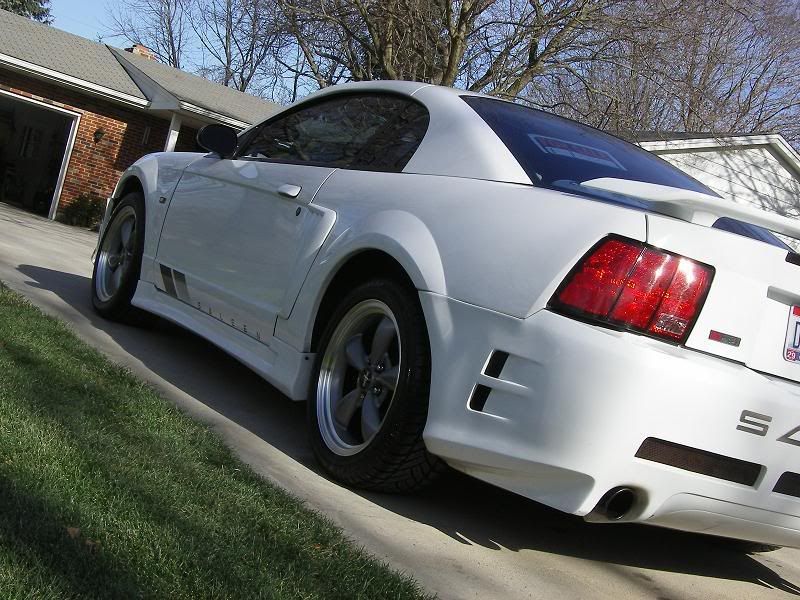 BackRear.jpg