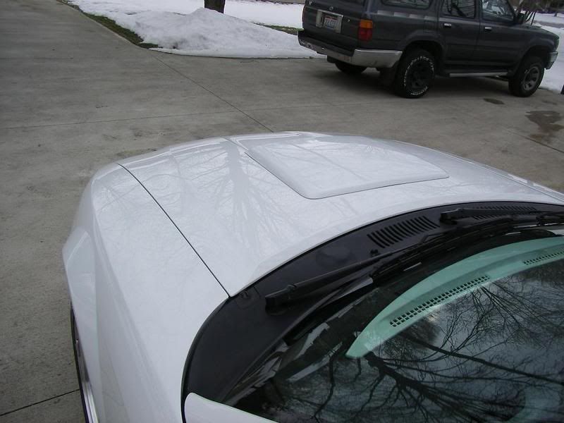Hoodtop.jpg