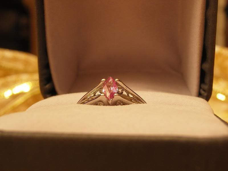 SL553776.jpg
