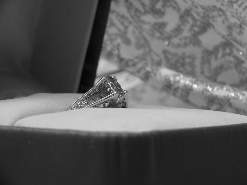 SL553791.jpg