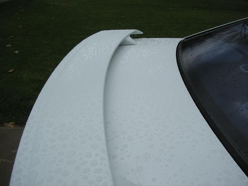 SL553802.jpg