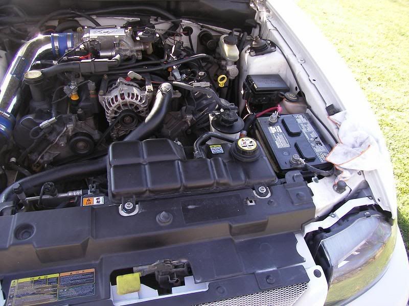 SL553900.jpg