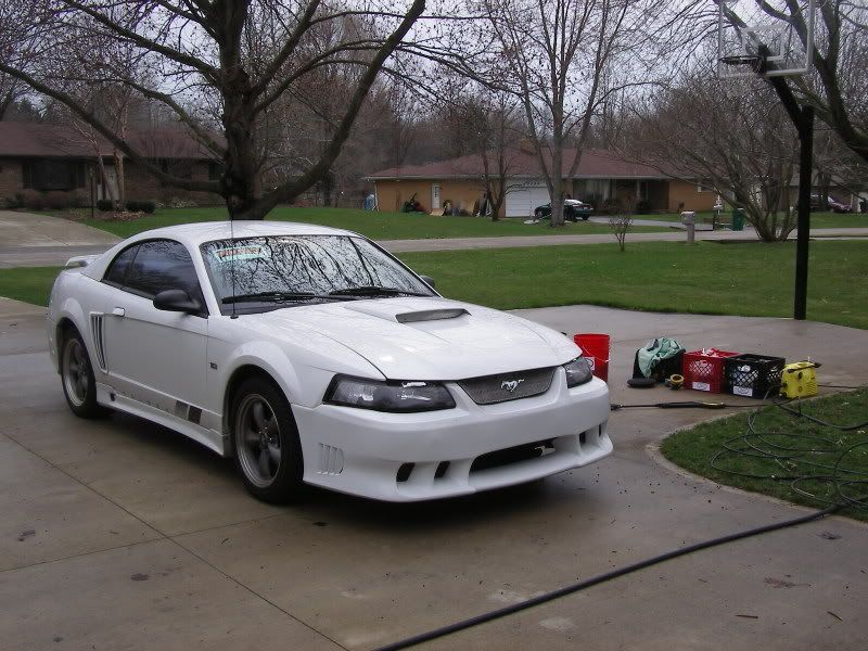 SL554414.jpg