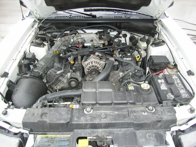 SL554417.jpg