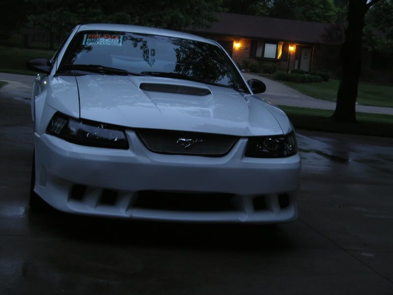 SL554792.jpg