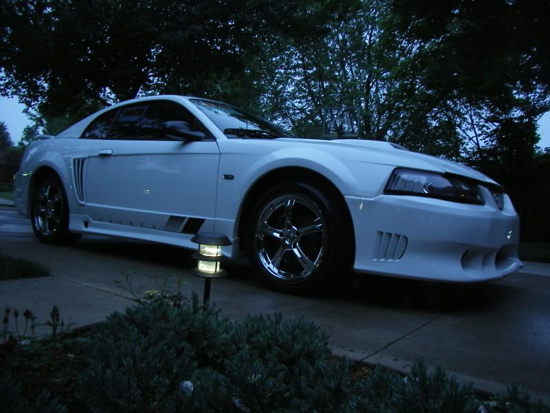 SL554793.jpg