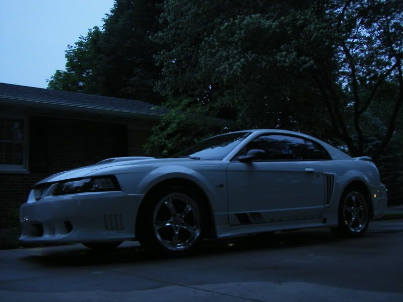 SL554795.jpg