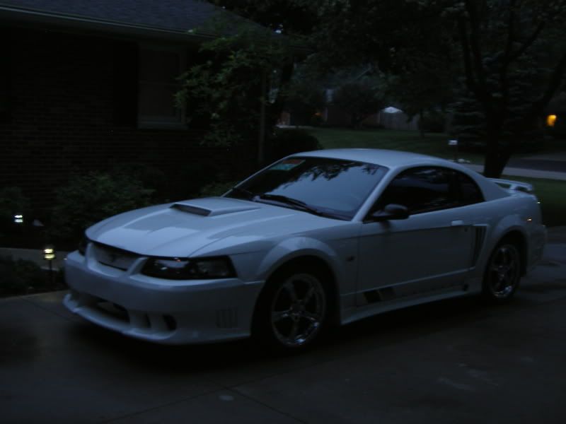 SL554796.jpg