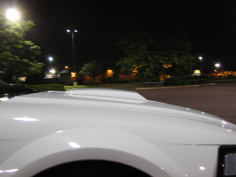 SL554807.jpg