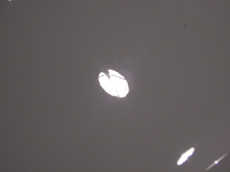 SL554811.jpg