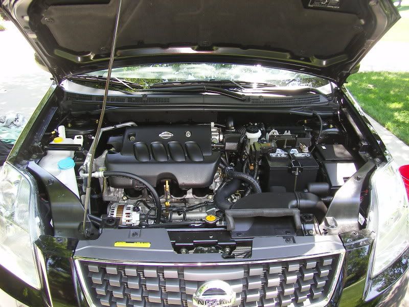 SL555175.jpg