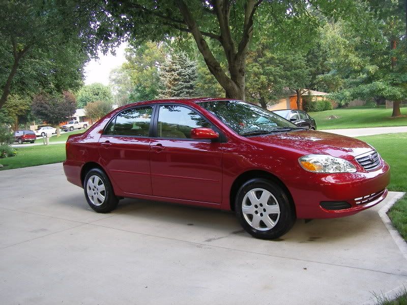 SL555184.jpg