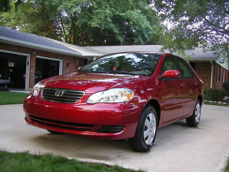SL555186.jpg
