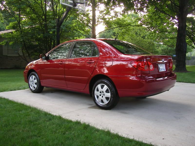 SL555187.jpg