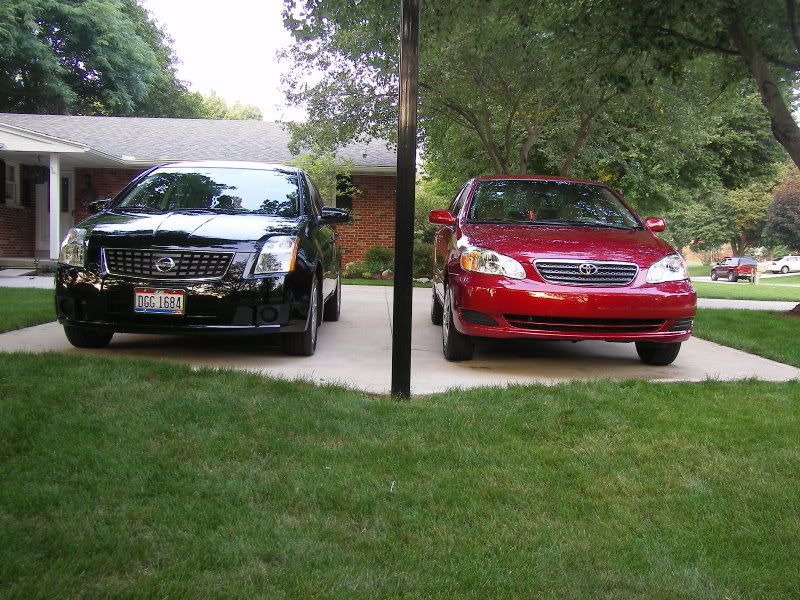 SL555189.jpg