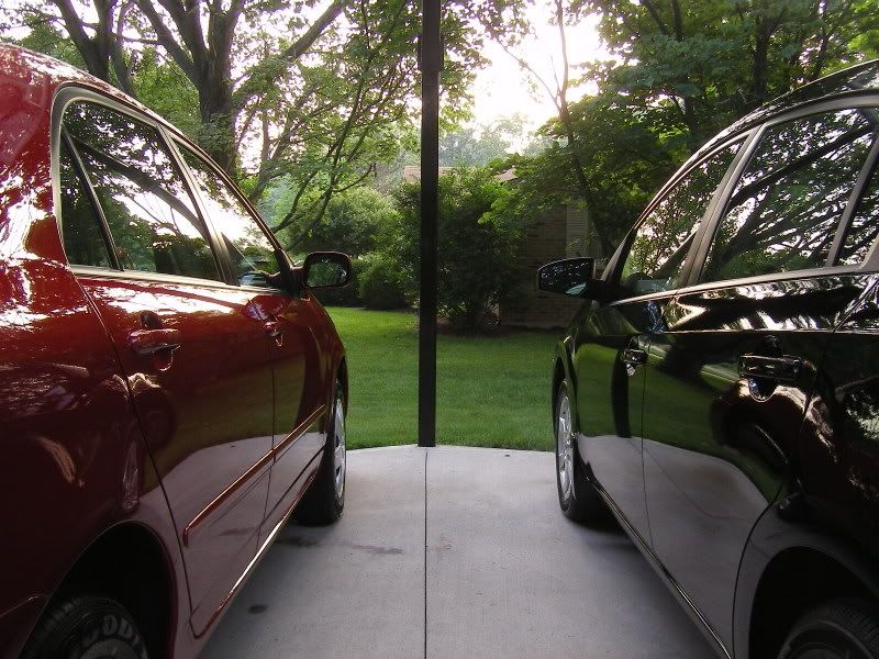 SL555190.jpg