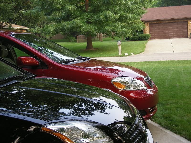 SL555197.jpg