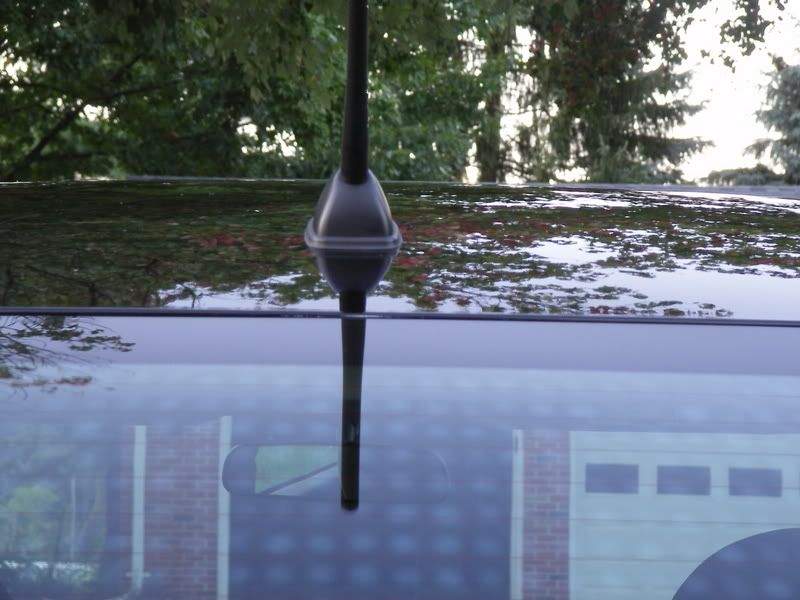 SL555473.jpg