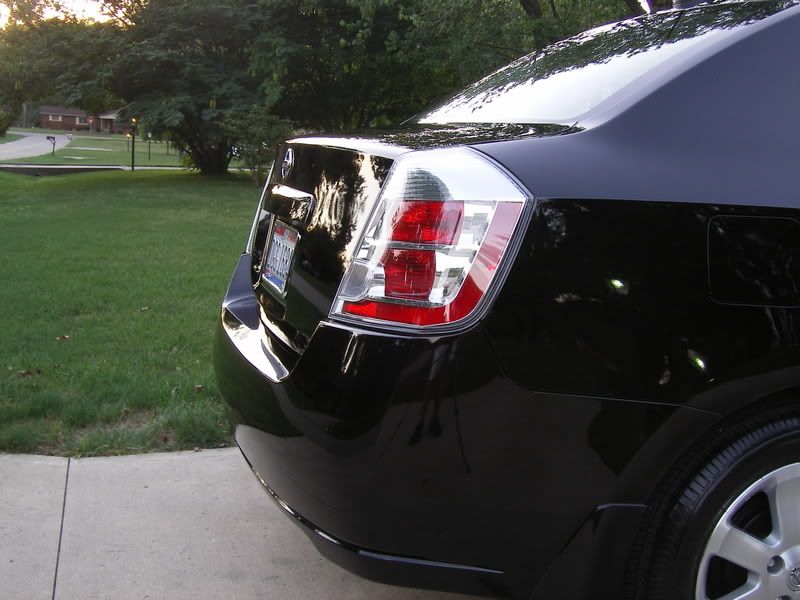 SL555474.jpg