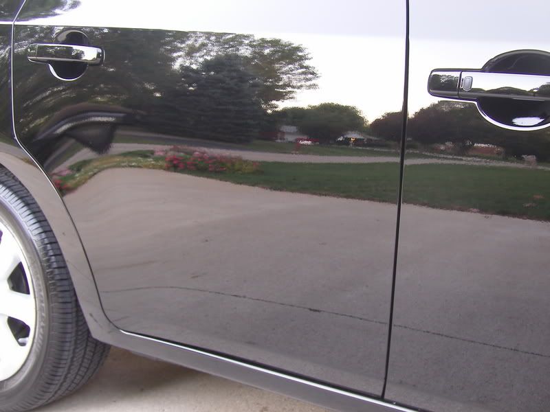 SL555475.jpg
