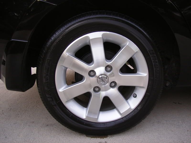 SL555476.jpg