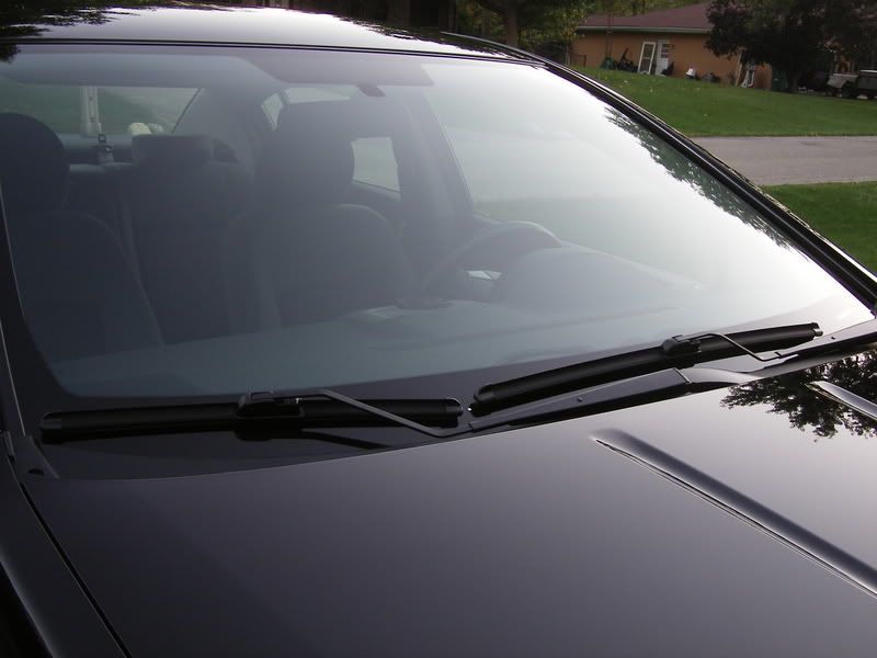SL555477.jpg
