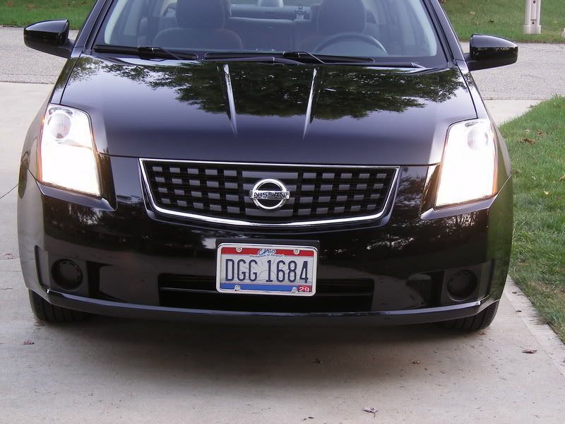 SL555478.jpg