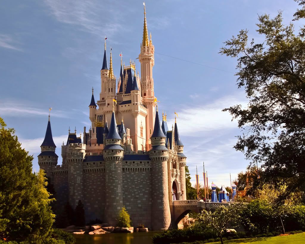 IMAGE: http://i8.photobucket.com/albums/a13/stevesmithjr/wdw2008/9.jpg