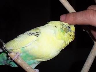 100_2095.jpg