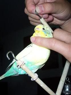 100_2101.jpg