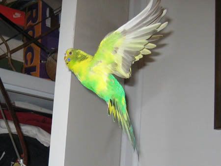 IMG_0375.jpg