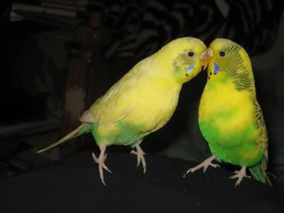 IMG_0386.jpg