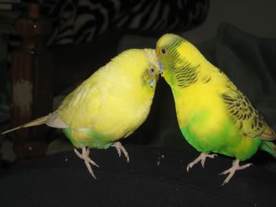 IMG_0396.jpg