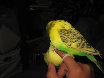 IMG_0431.jpg