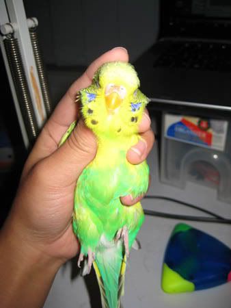 IMG_0439a.jpg